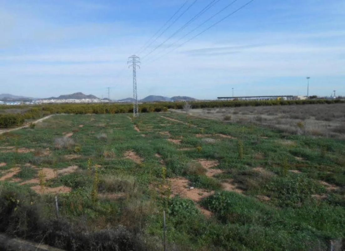 Terreno en venta en Sagunto/Sagunt, Valencia photo 4