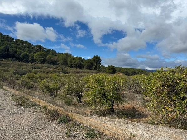 Terreno en Finca Peña Negra, Camino viejo de Teruel s/n photo 1