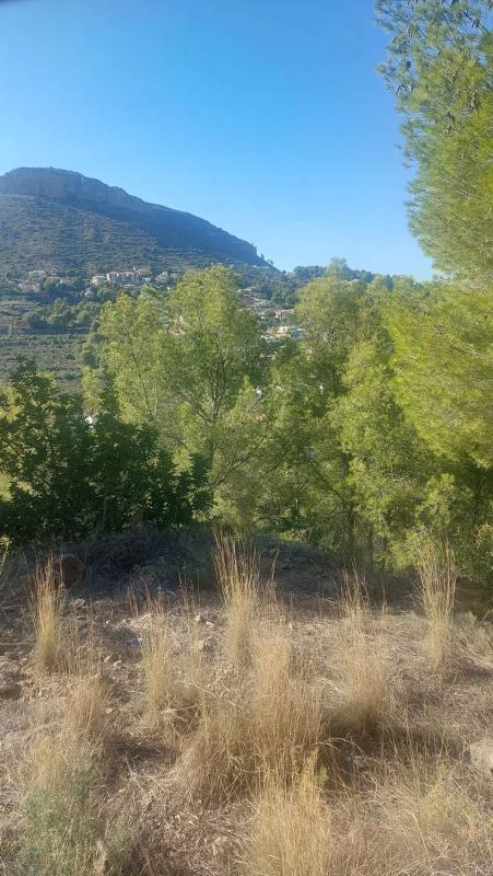 Terreno en venta en Gilet, Valencia photo 3