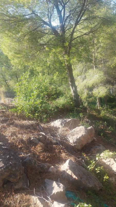 Terreno en venta en Gilet, Valencia photo 4