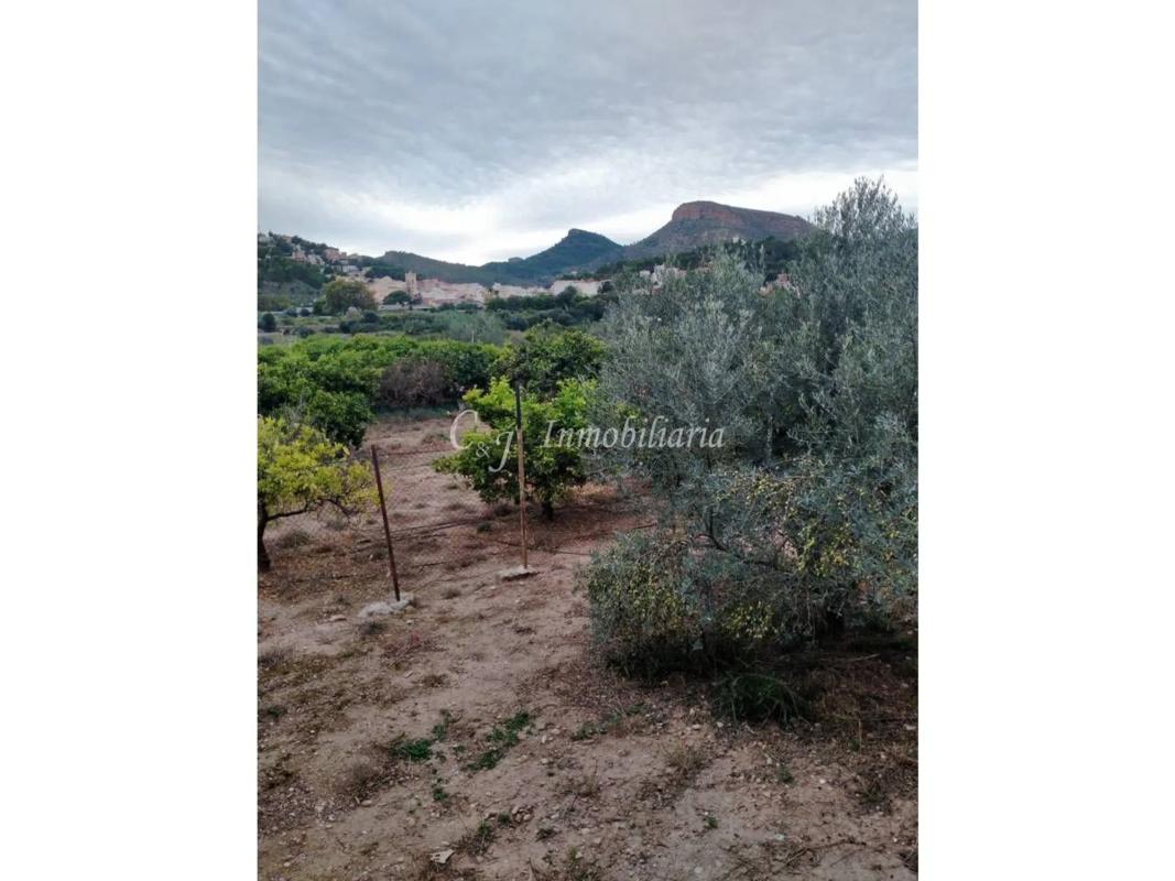 Land for sale in Petrés, Valencia photo 1