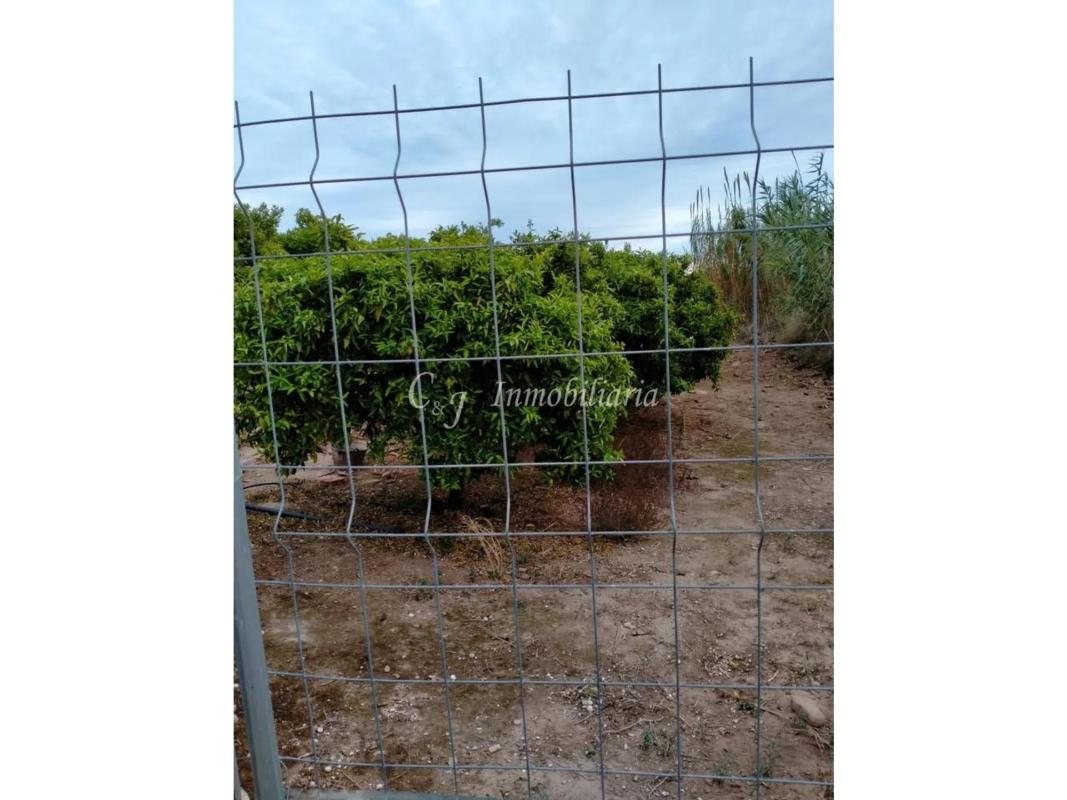 Land for sale in Petrés, Valencia photo 2