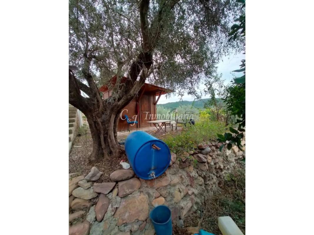 Land for sale in Petrés, Valencia photo 3