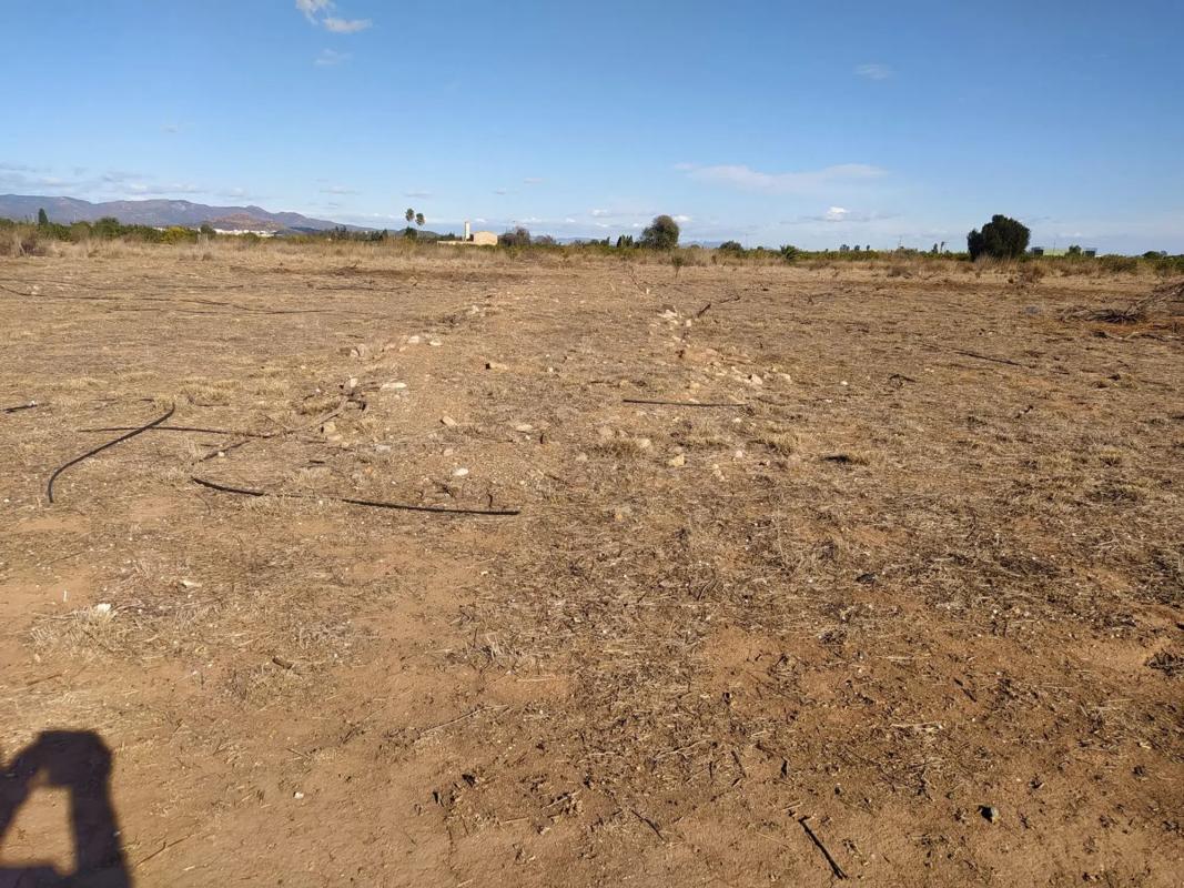Terreno en venta en Sagunto/Sagunt, Valencia photo 3