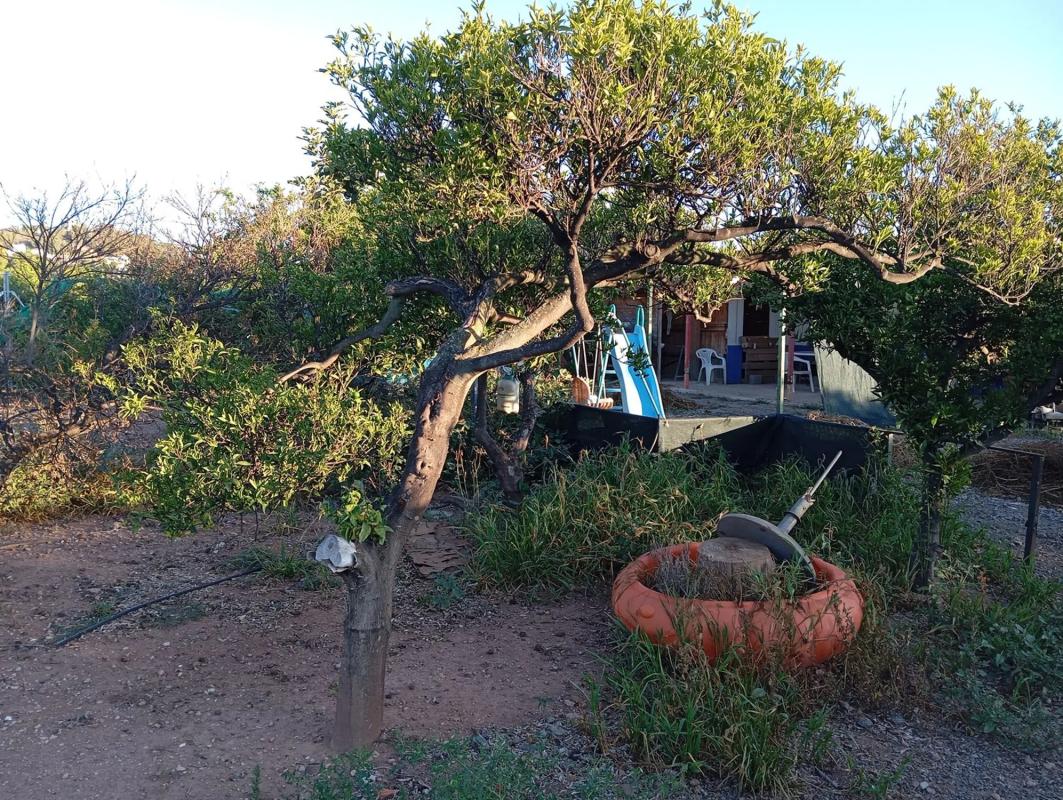 Terreno en venta en Gilet, Valencia photo 1