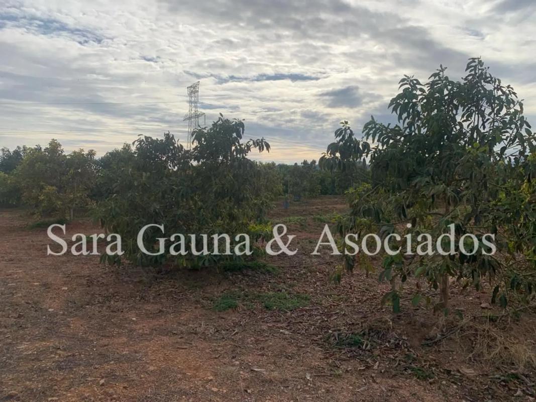 Terreno en venta en Sagunto/Sagunt, Valencia photo 3