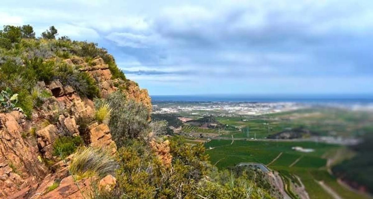 Terreno en venta en Gilet, Valencia photo 1