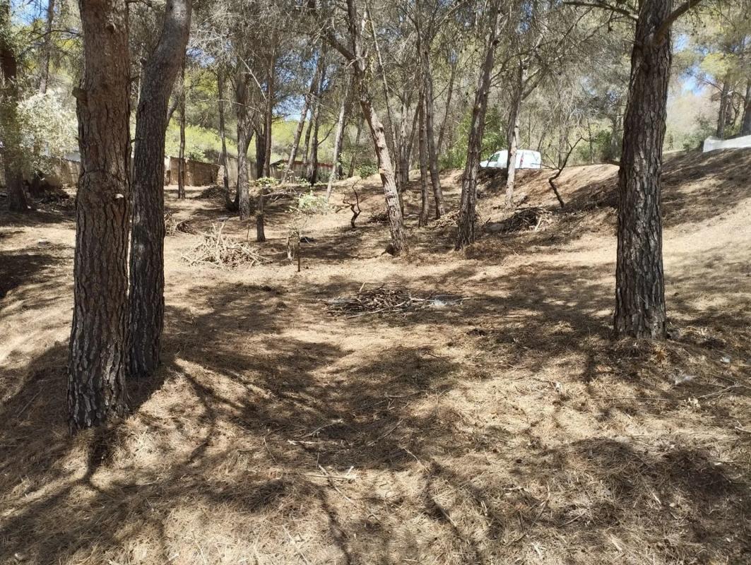 Terreno en venta en Gilet, Valencia photo 2