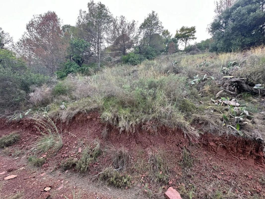 Terreno en venta en Gilet, Valencia photo 5