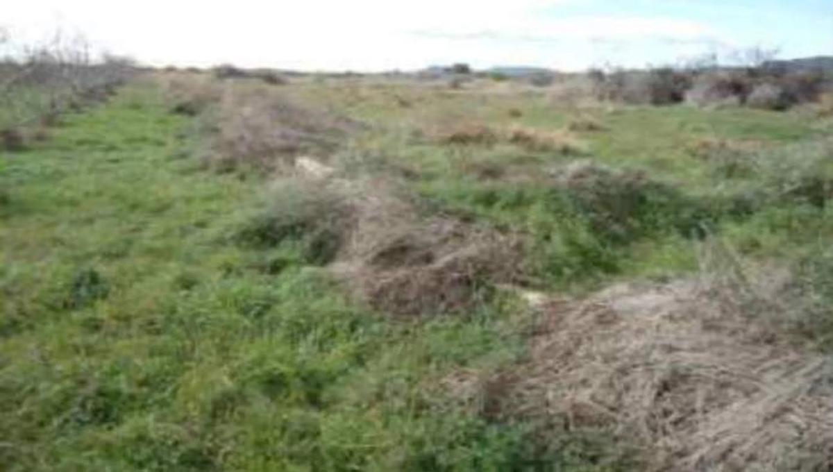 Terreno en venta en Quartell, Valencia photo 5