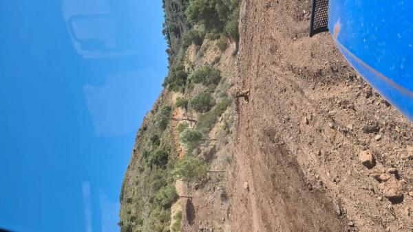 Terreno en carretera Albalat, 10 photo 2