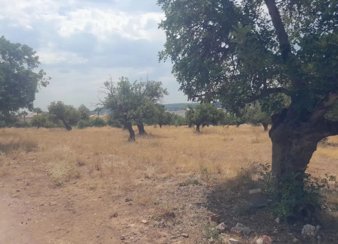 Land for sale in Petrés, Valencia photo 3