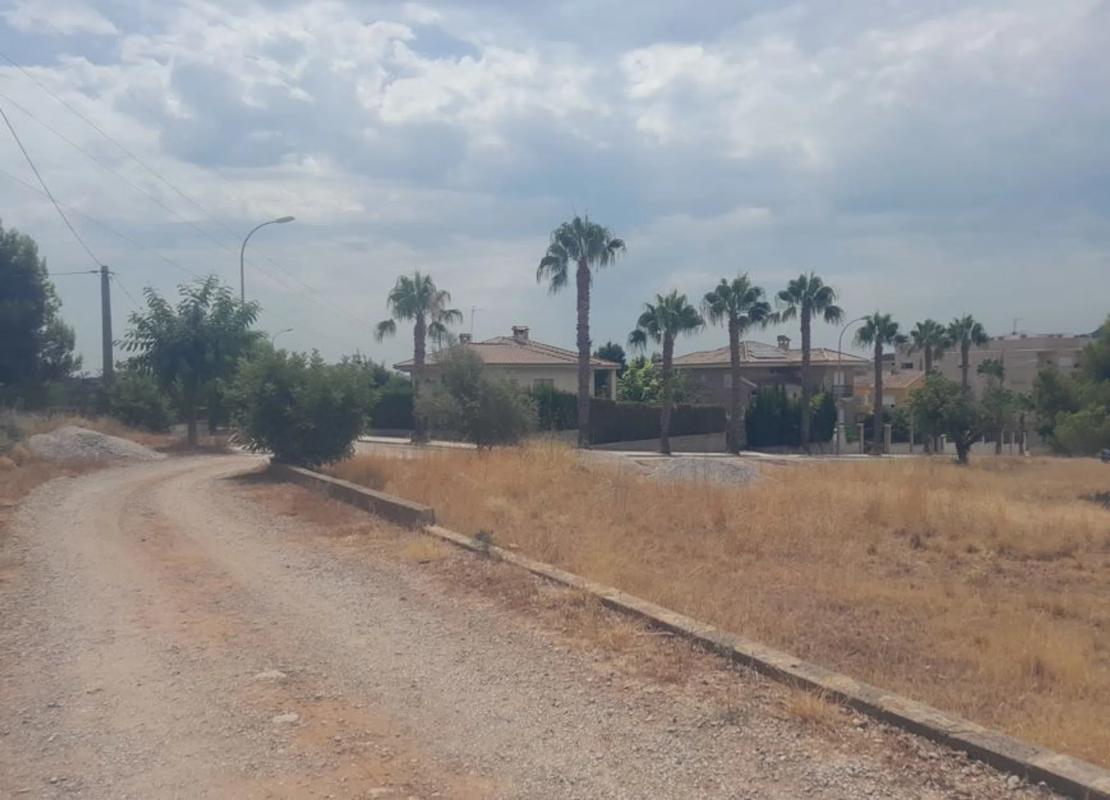Land for sale in Petrés, Valencia photo 3