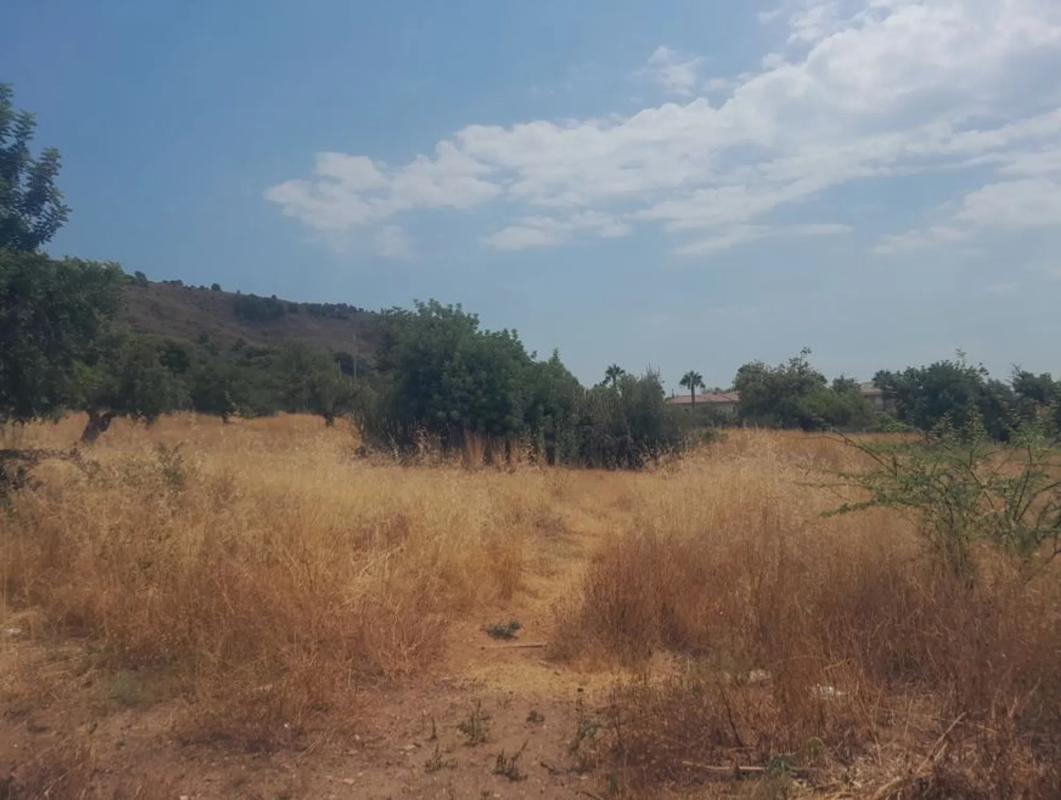 Land for sale in Petrés, Valencia photo 5