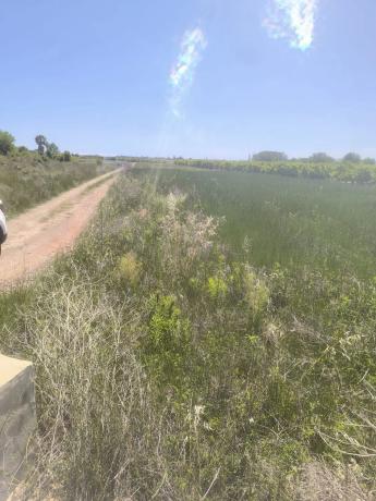 Terreno en Almenara, 46500 photo 1
