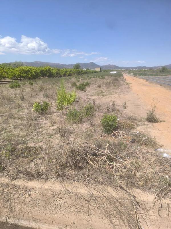 Terreno en venta en Sagunto/Sagunt, Valencia photo 3