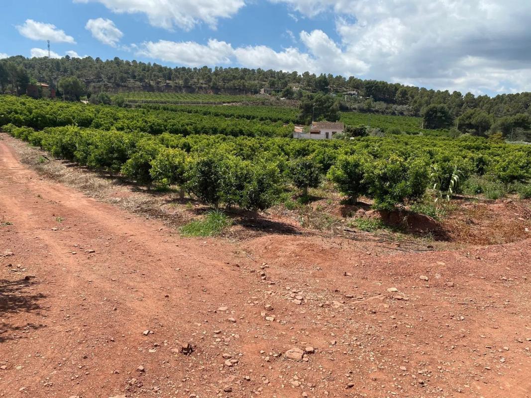 Land for sale in Torres-Torres, Valencia photo 1