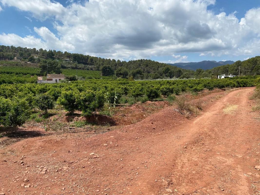 Land for sale in Torres-Torres, Valencia photo 2