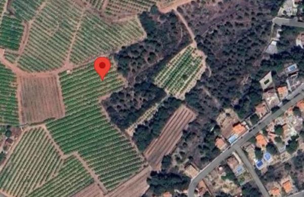 Terreno en calle Xativa photo 4