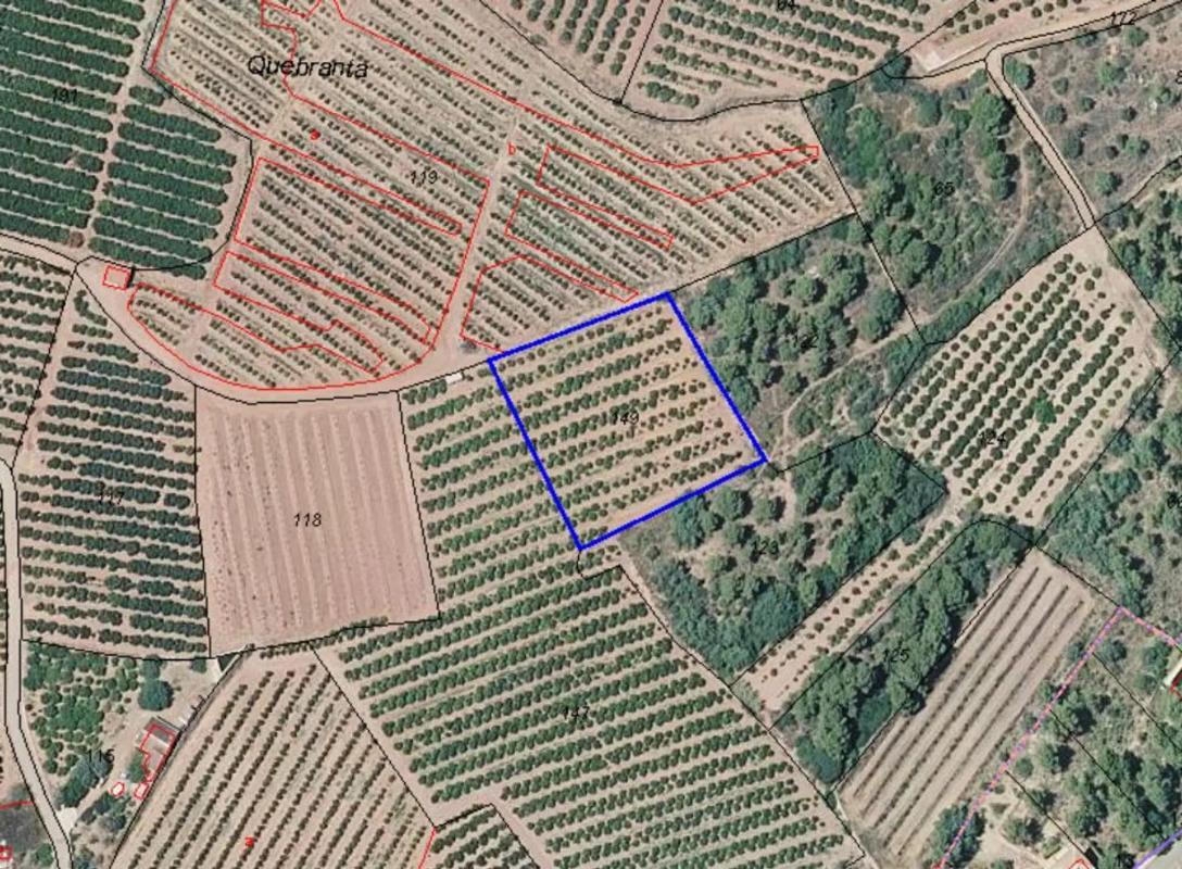 Land for sale in Torres-Torres, Valencia photo 5