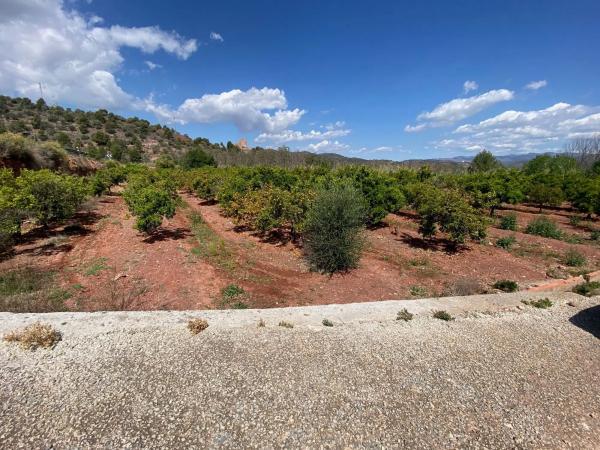 Terreno en Cv-320 photo 1
