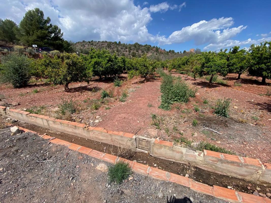 Land for sale in Torres-Torres, Valencia photo 2