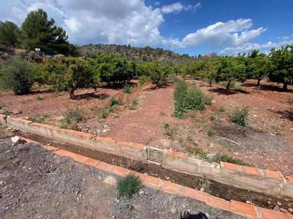 Terreno en Cv-320 photo 2