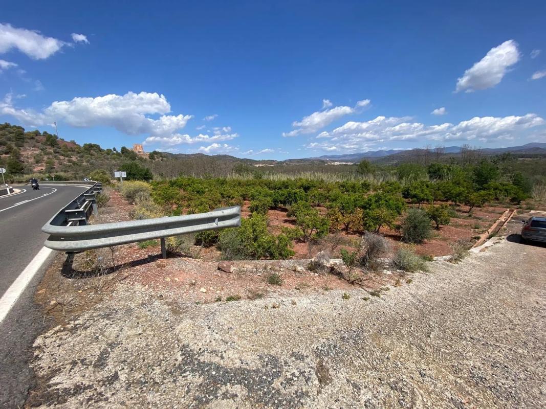 Land for sale in Torres-Torres, Valencia photo 3