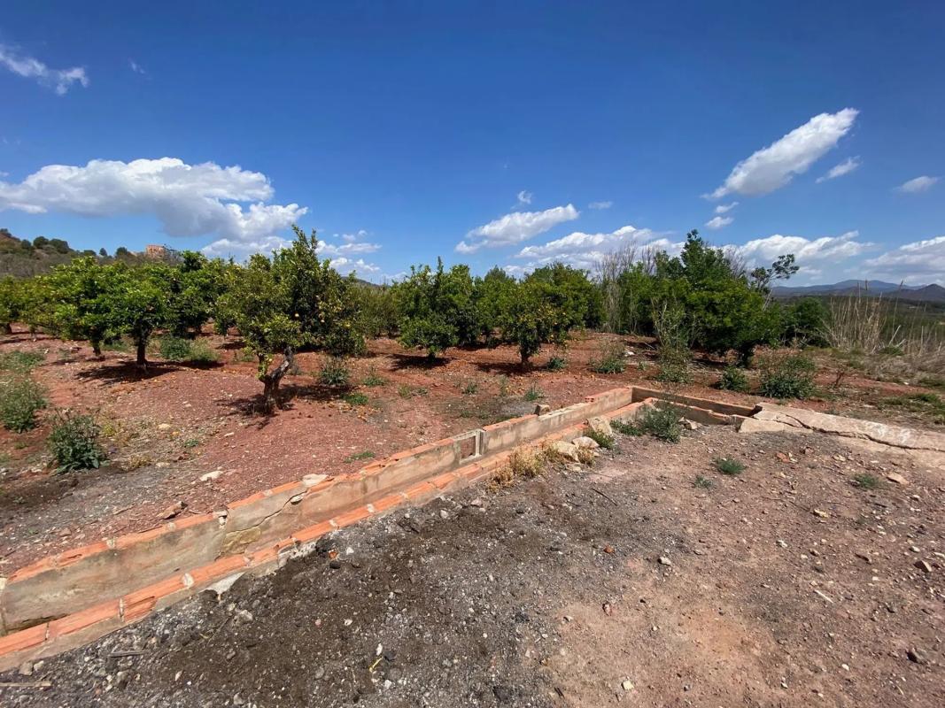 Land for sale in Torres-Torres, Valencia photo 5