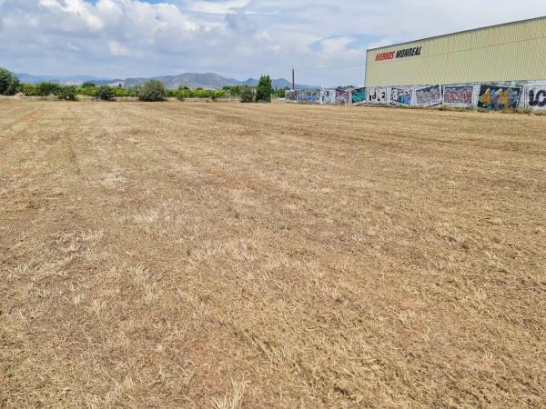 Terreno en Cv-3201, 29 Polgono photo 3