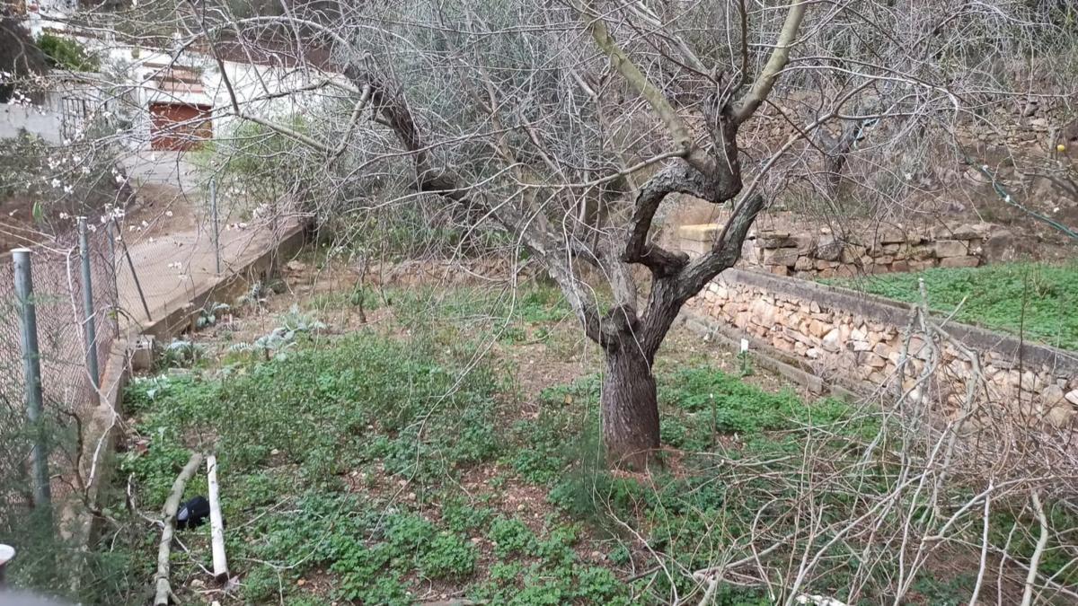 Terreno en venta en Gilet, Valencia photo 3