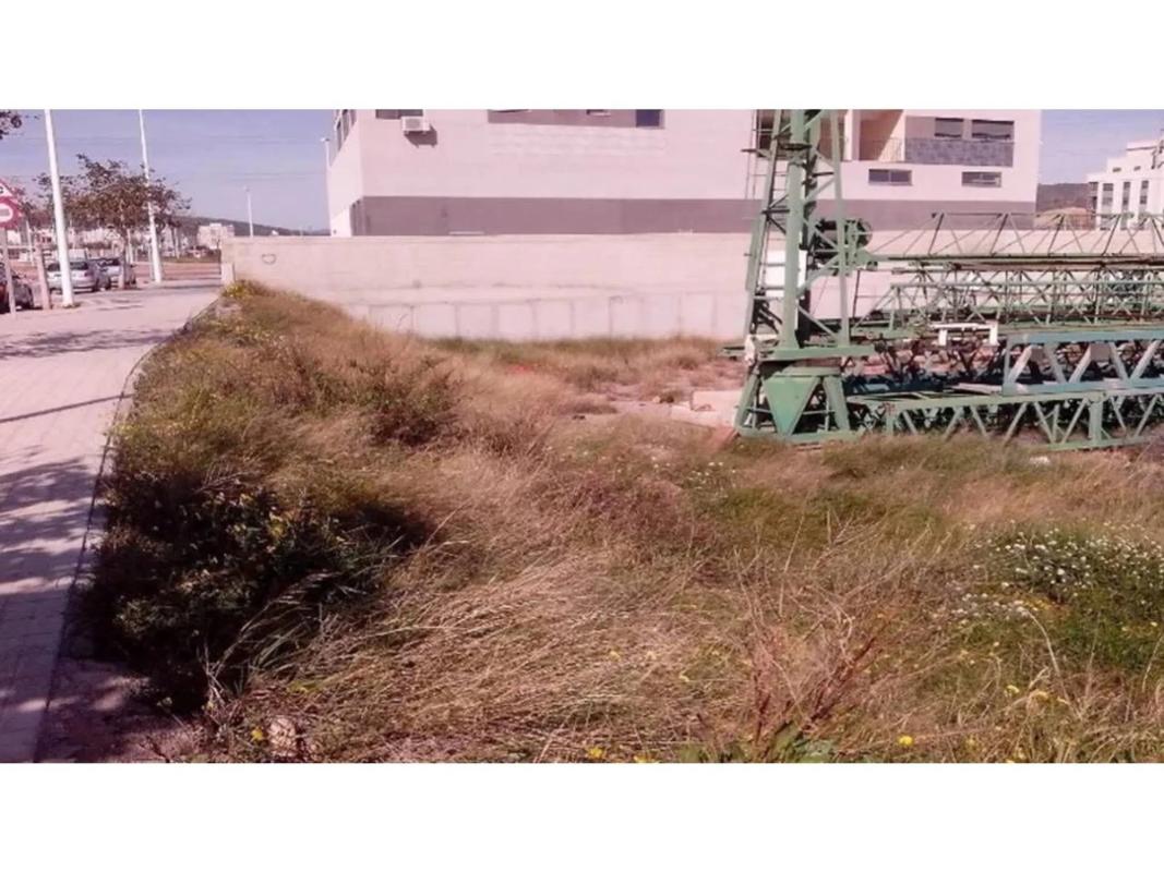 Terreno en venta en Sagunto/Sagunt, Valencia photo 4