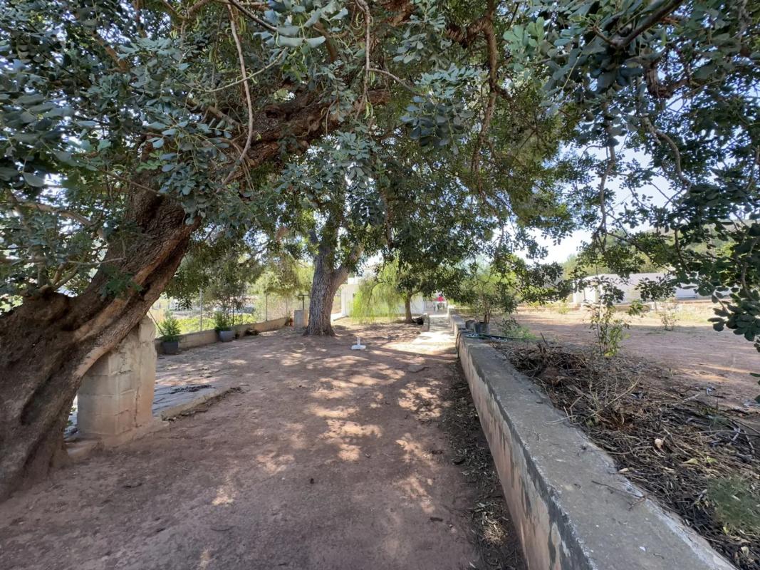 Terreno en venta en Gilet, Valencia photo 1