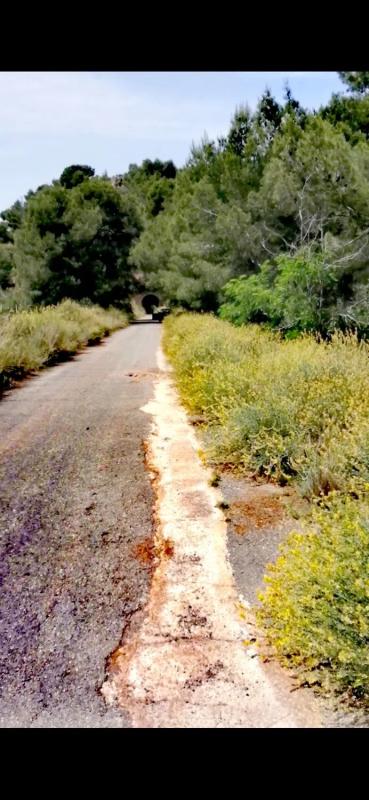 Land for sale in Albalat dels Tarongers, Valencia photo 4