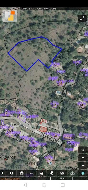 Land for sale in Albalat dels Tarongers, Valencia photo 5