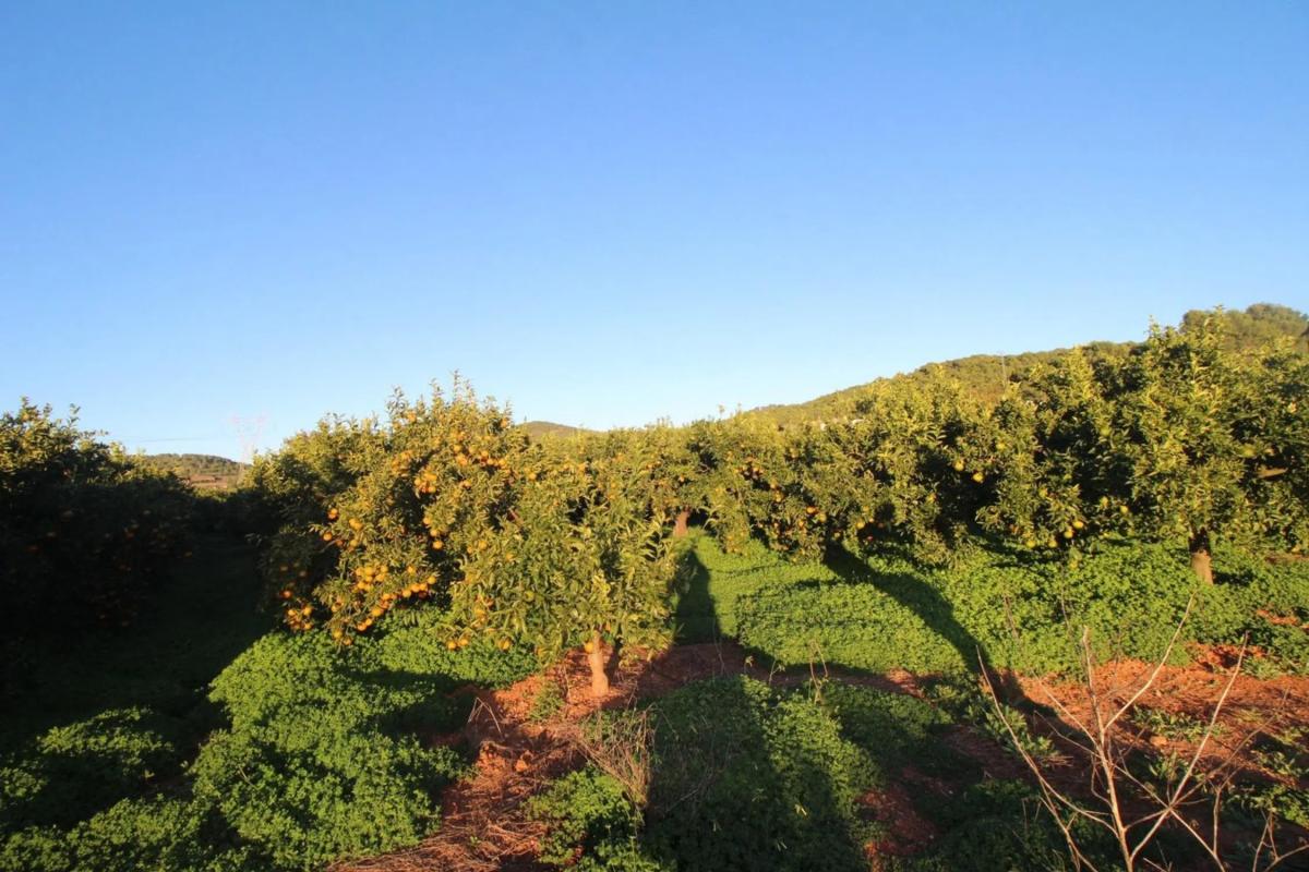 Terreno en venta en Faura, Valencia photo 4