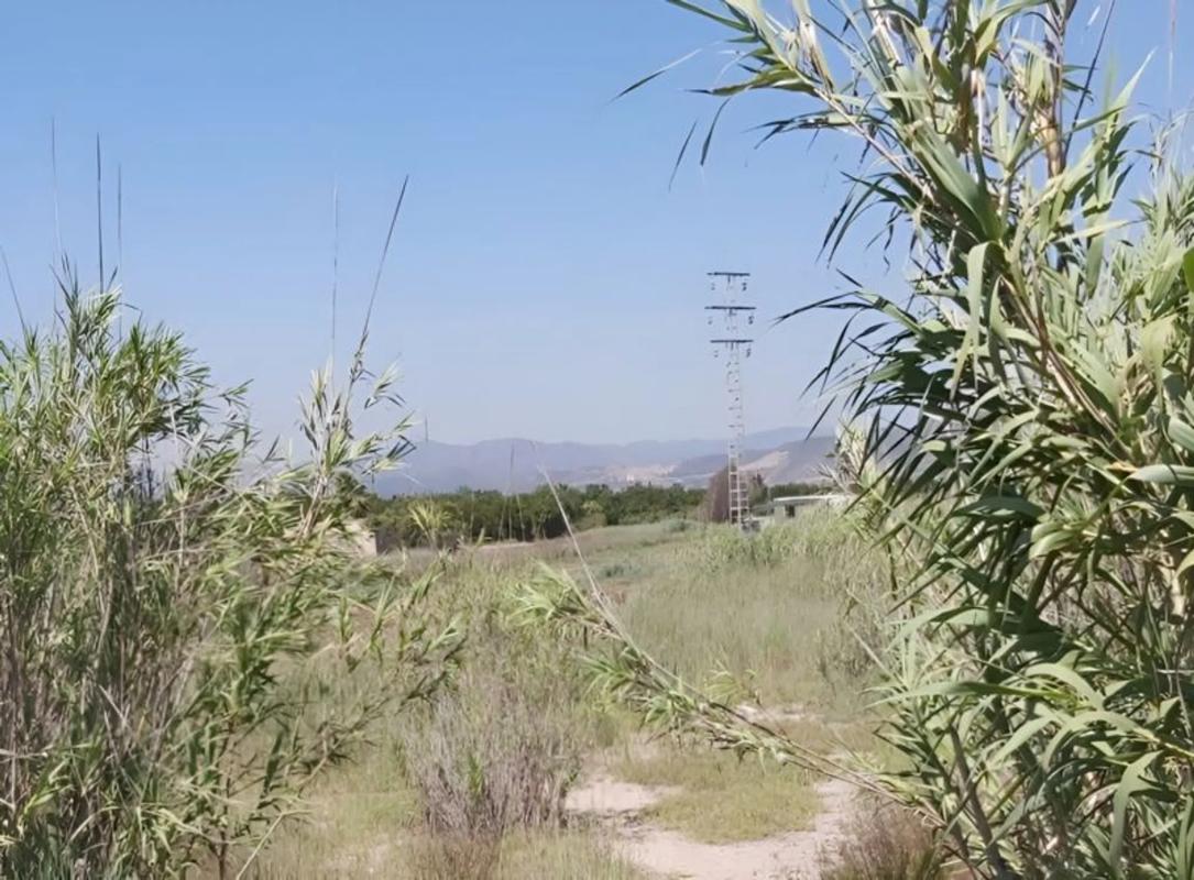 Terreno en venta en Sagunto/Sagunt, Valencia photo 3