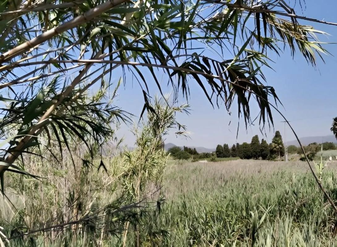 Terreno en venta en Sagunto/Sagunt, Valencia photo 4