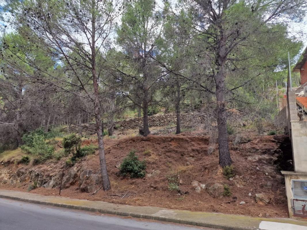 Terreno en venta en Algar de Palancia, Valencia photo 4