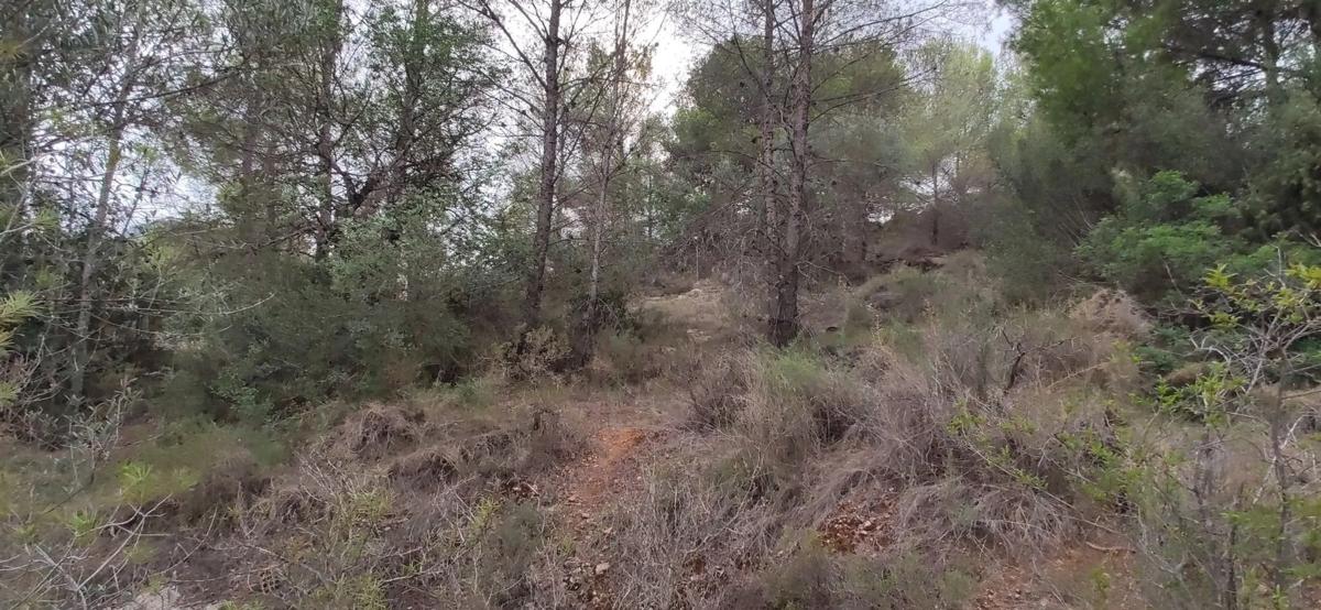 Terreno en venta en Estivella, Valencia photo 5