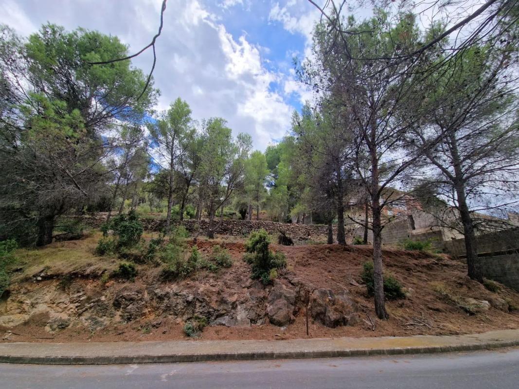 Terreno en venta en Algar de Palancia, Valencia photo 5