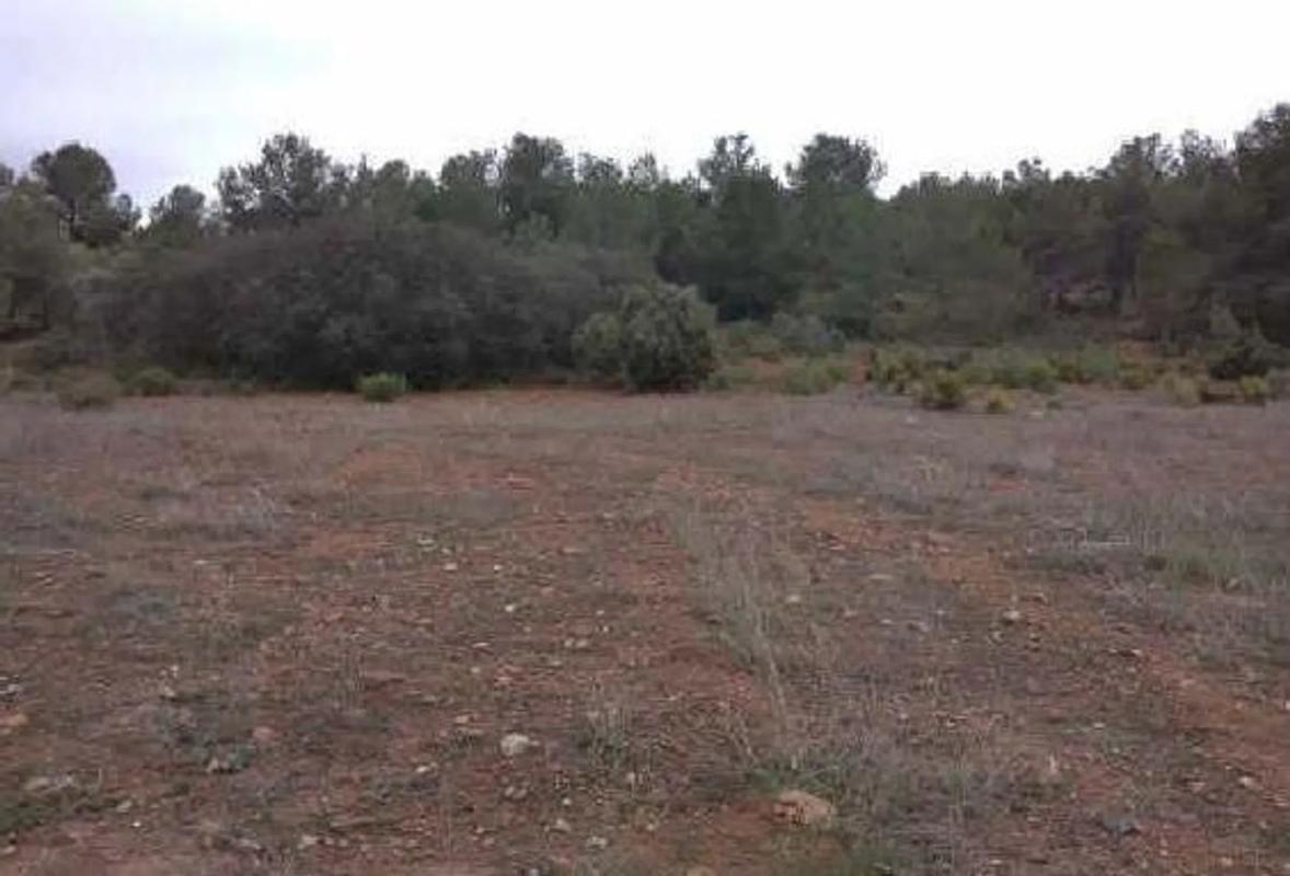 Land for sale in Algimia de Alfara, Valencia photo 1