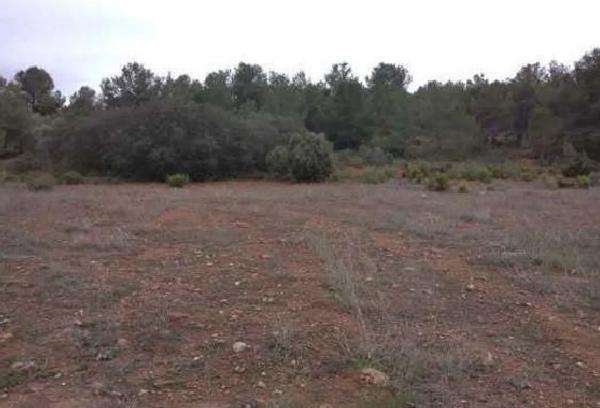 Terreno en avenida de Valencia photo 1