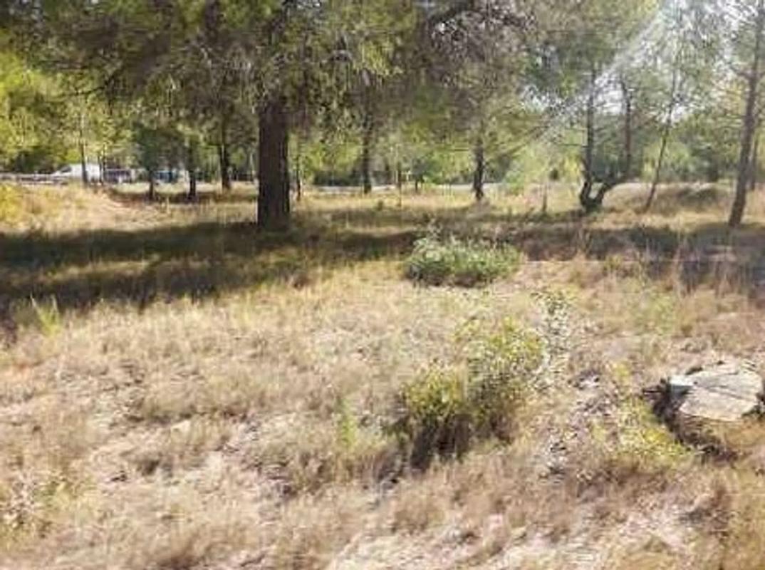 Terreno en venta en Estivella, Valencia photo 2