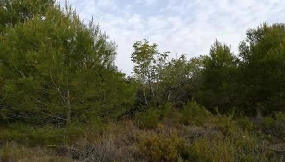 Terreno en venta en Estivella, Valencia photo 3