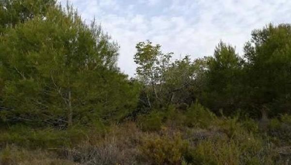 Terreno en via sense nom thumbnail 2