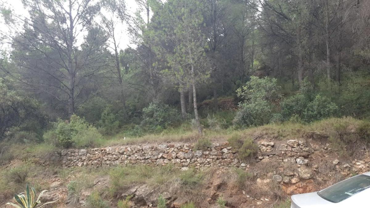Terreno en venta en Algar de Palancia, Valencia photo 5