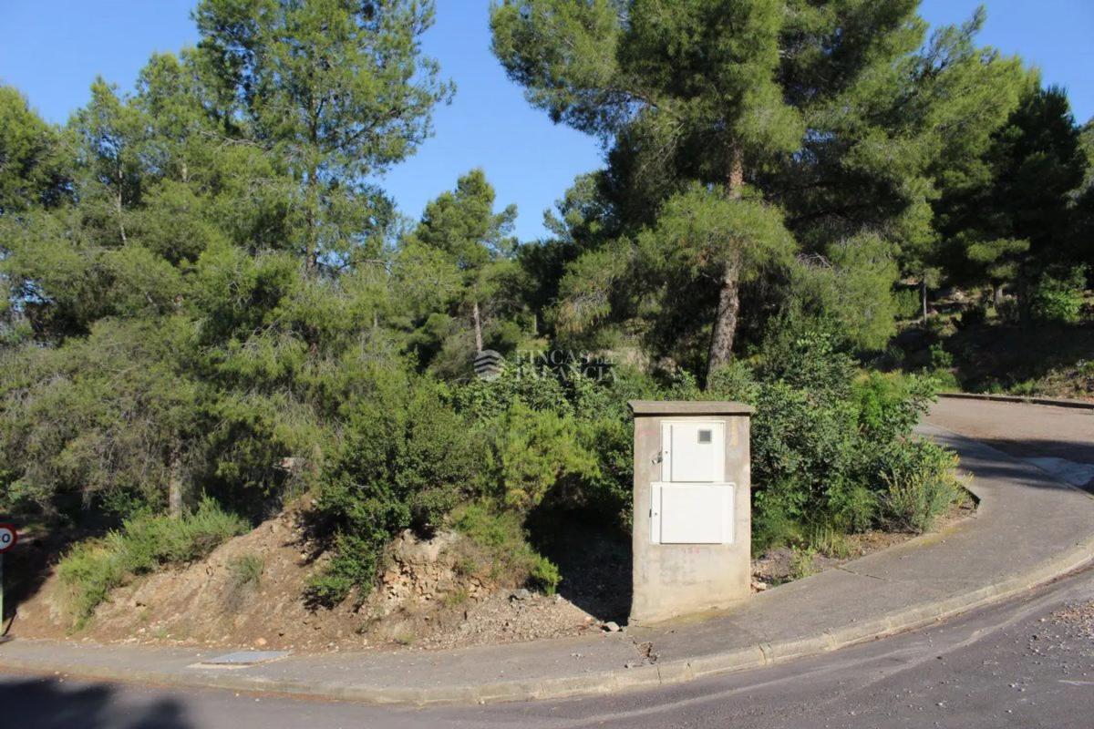 Terreno en venta en Algar de Palancia, Valencia photo 4