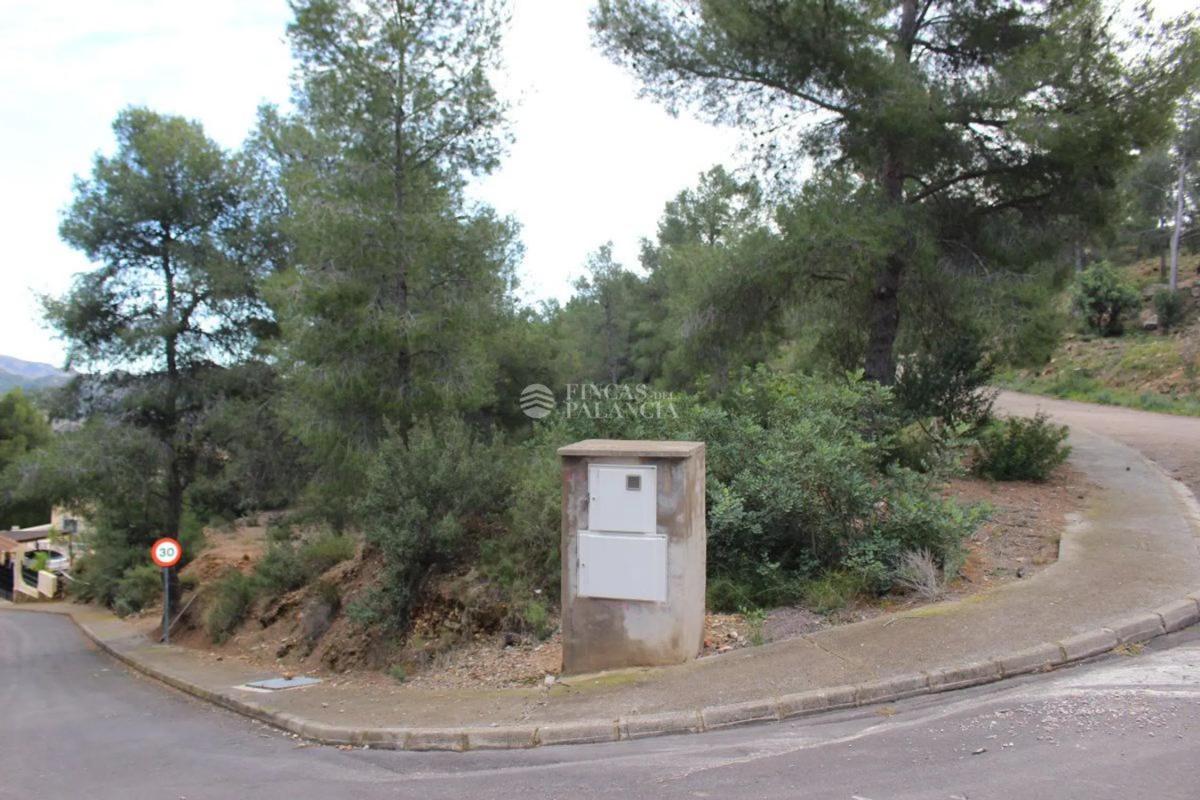 Terreno en venta en Algar de Palancia, Valencia photo 5