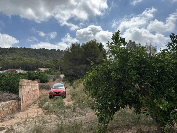 Terreno en Doctor Palos - Alto Palancia photo 4